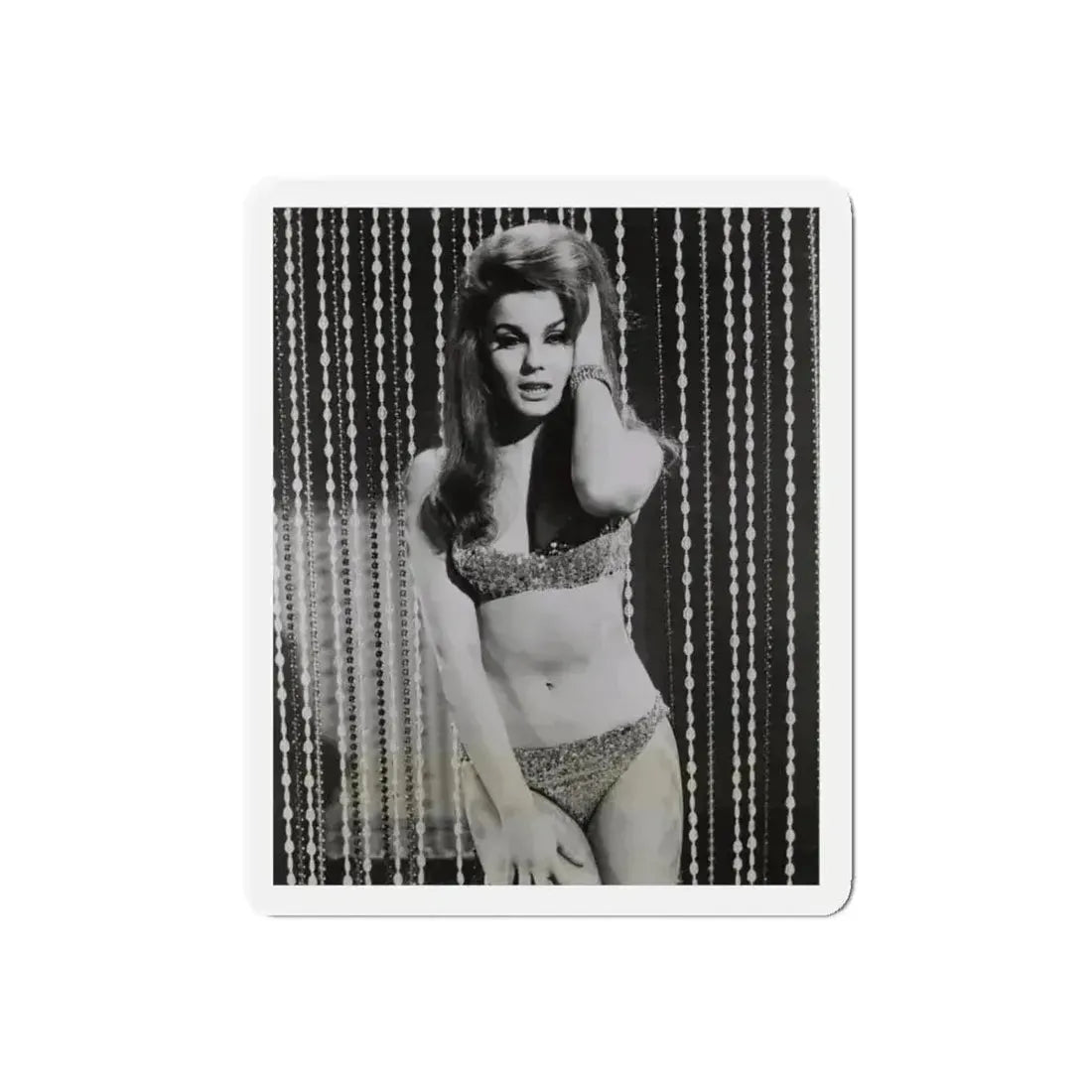 Ann-Margret #185 (Vintage Female Icon) Refrigerator Magnet - The Sticker Space