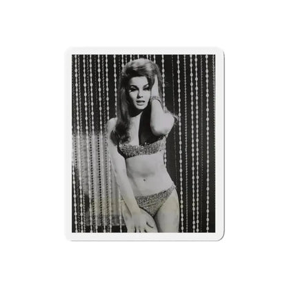 Ann-Margret #185 (Vintage Female Icon) Refrigerator Magnet - The Sticker Space
