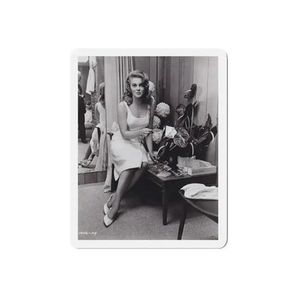 Ann-Margret #197 (Vintage Female Icon) Refrigerator Magnet - The Sticker Space