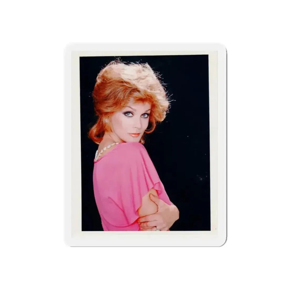 Ann-Margret #217 (Vintage Female Icon) Refrigerator Magnet - The Sticker Space