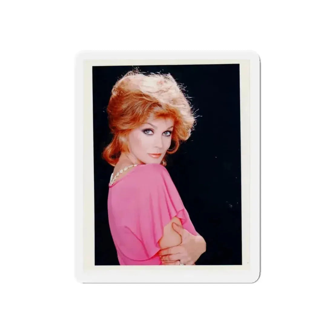 Ann-Margret #217 (Vintage Female Icon) Refrigerator Magnet - The Sticker Space