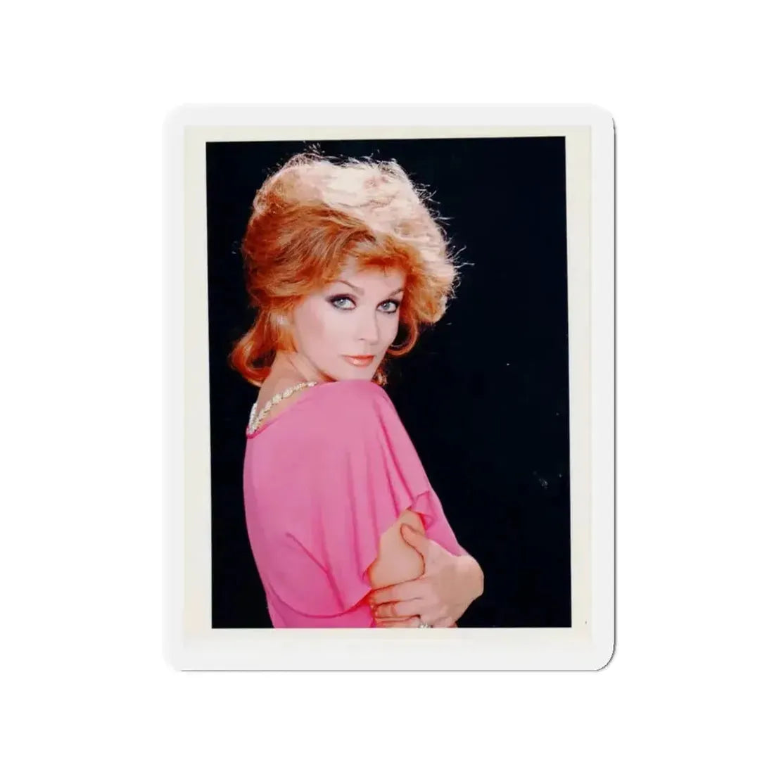 Ann-Margret #217 (Vintage Female Icon) Refrigerator Magnet - The Sticker Space