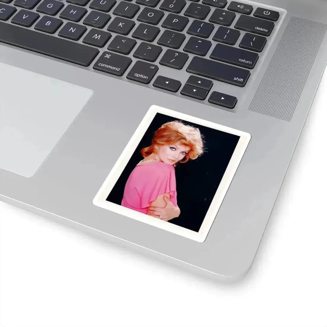 Ann-Margret #217 (Vintage Female Icon) STICKER Vinyl Kiss-Cut Decal - The Sticker Space
