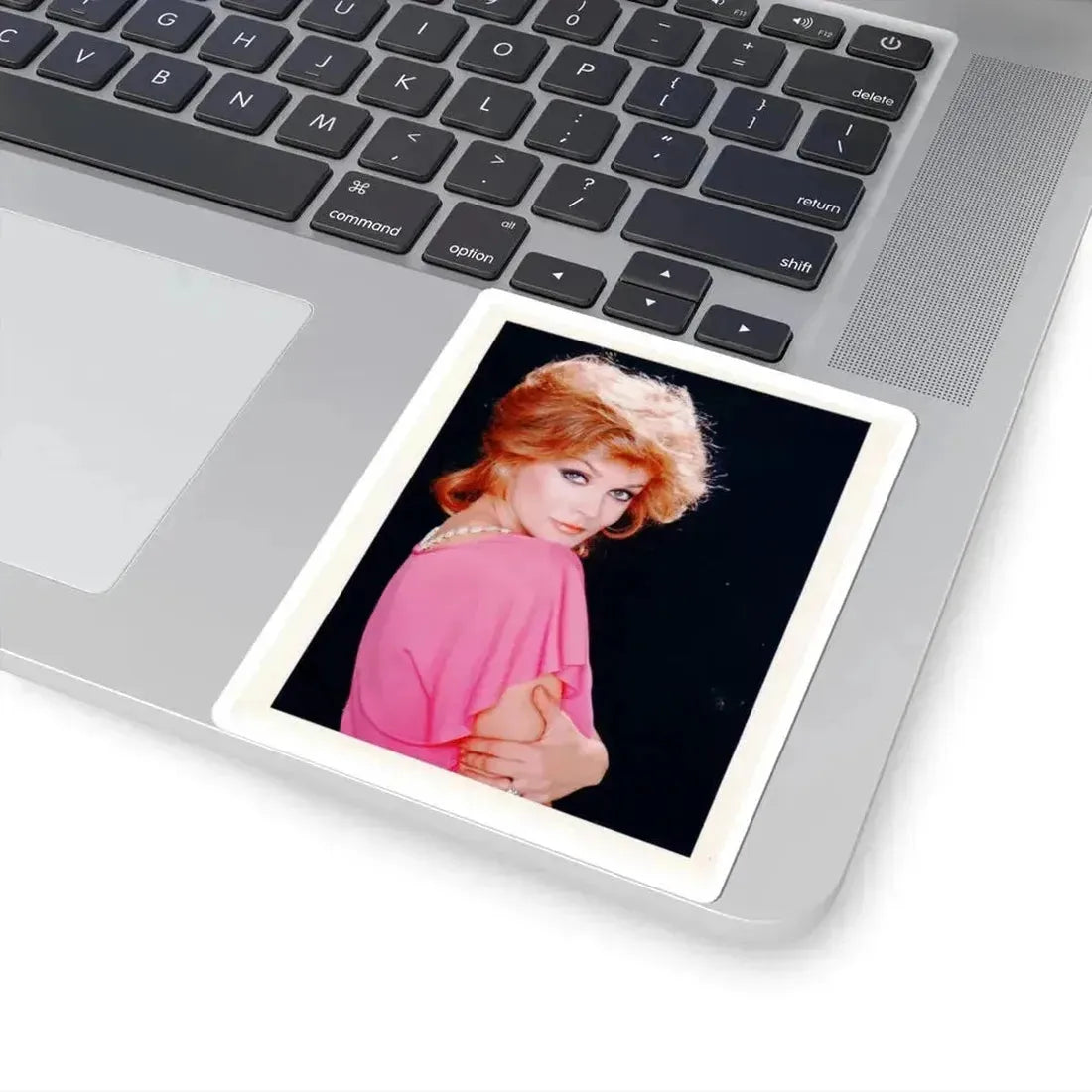 Ann-Margret #217 (Vintage Female Icon) STICKER Vinyl Kiss-Cut Decal - The Sticker Space