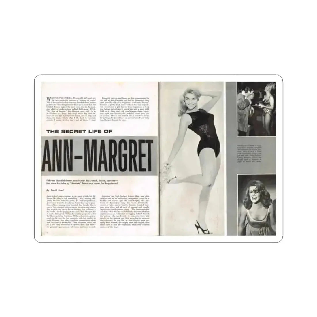 Ann-Margret #220 (Vintage Female Icon) STICKER Vinyl Kiss-Cut Decal 2 Inch White - The Sticker Space