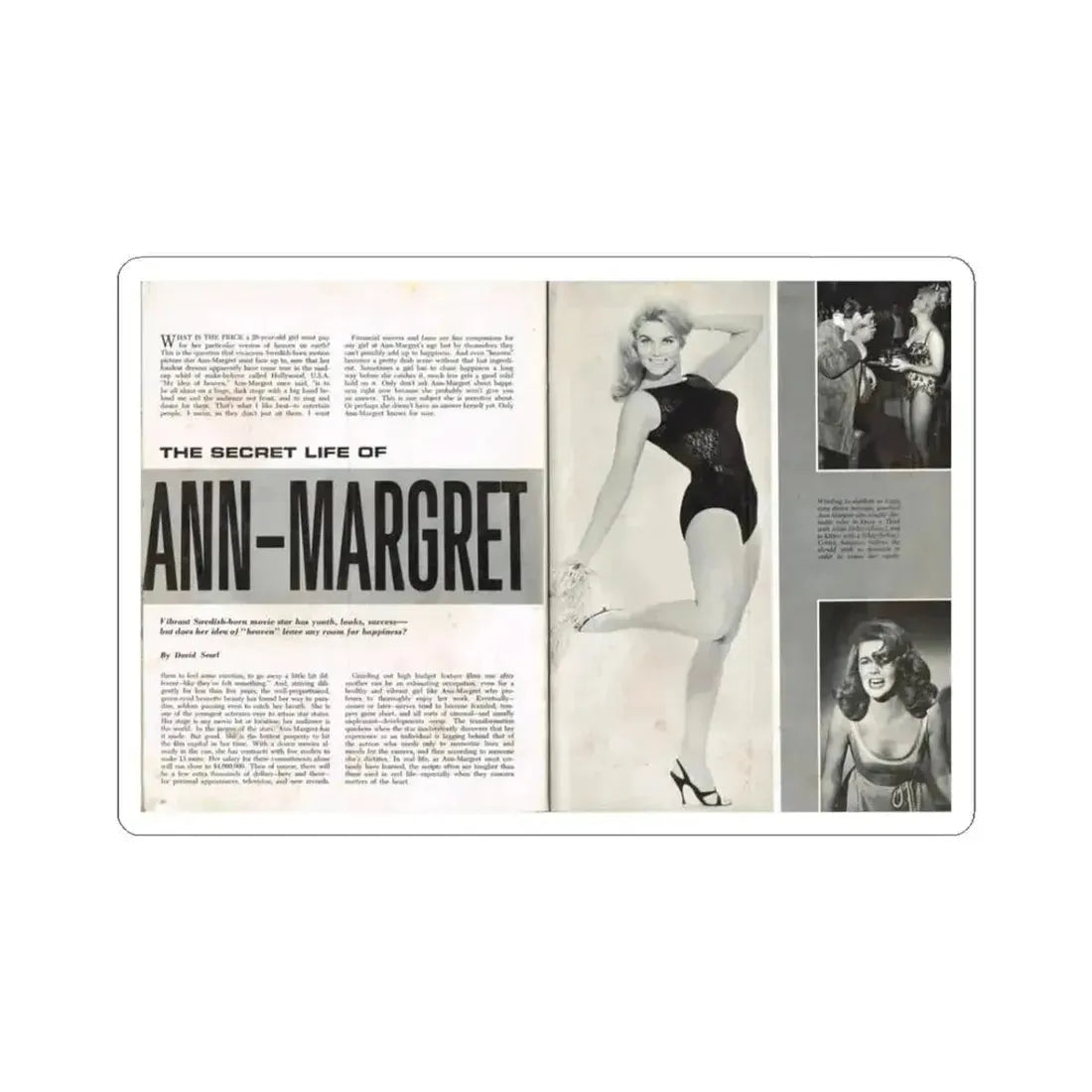 Ann-Margret #220 (Vintage Female Icon) STICKER Vinyl Kiss-Cut Decal 3 Inch White - The Sticker Space