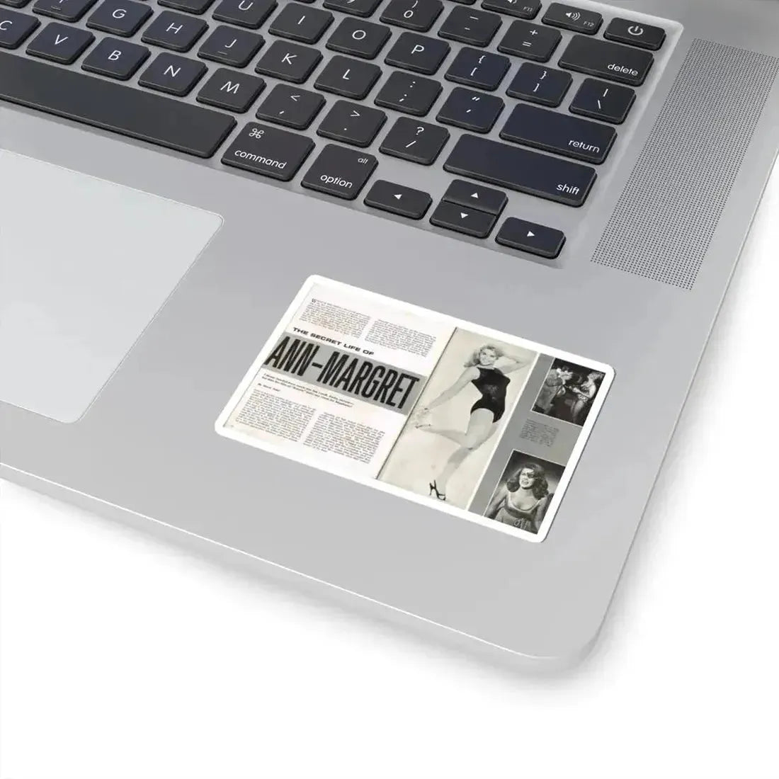 Ann-Margret #220 (Vintage Female Icon) STICKER Vinyl Kiss-Cut Decal - The Sticker Space