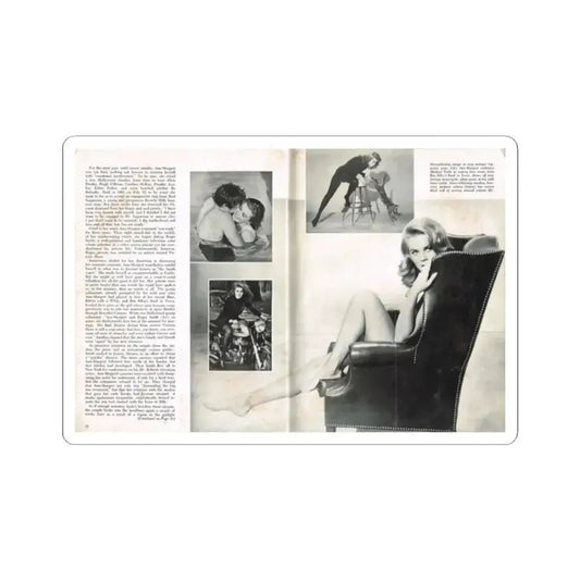 Ann-Margret #221 (Vintage Female Icon) STICKER Vinyl Kiss-Cut Decal 2 Inch White - The Sticker Space