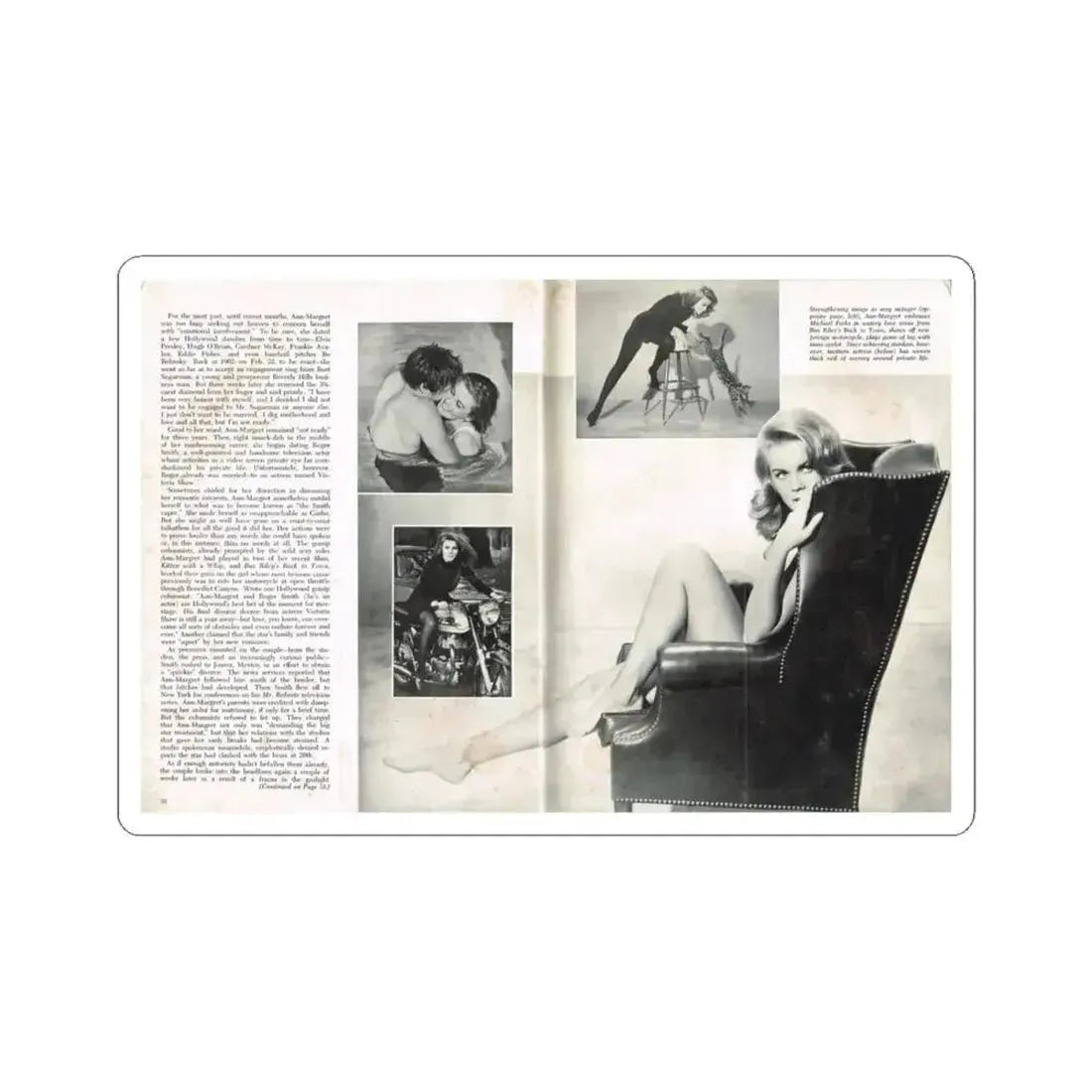 Ann-Margret #221 (Vintage Female Icon) STICKER Vinyl Kiss-Cut Decal 4 Inch White - The Sticker Space