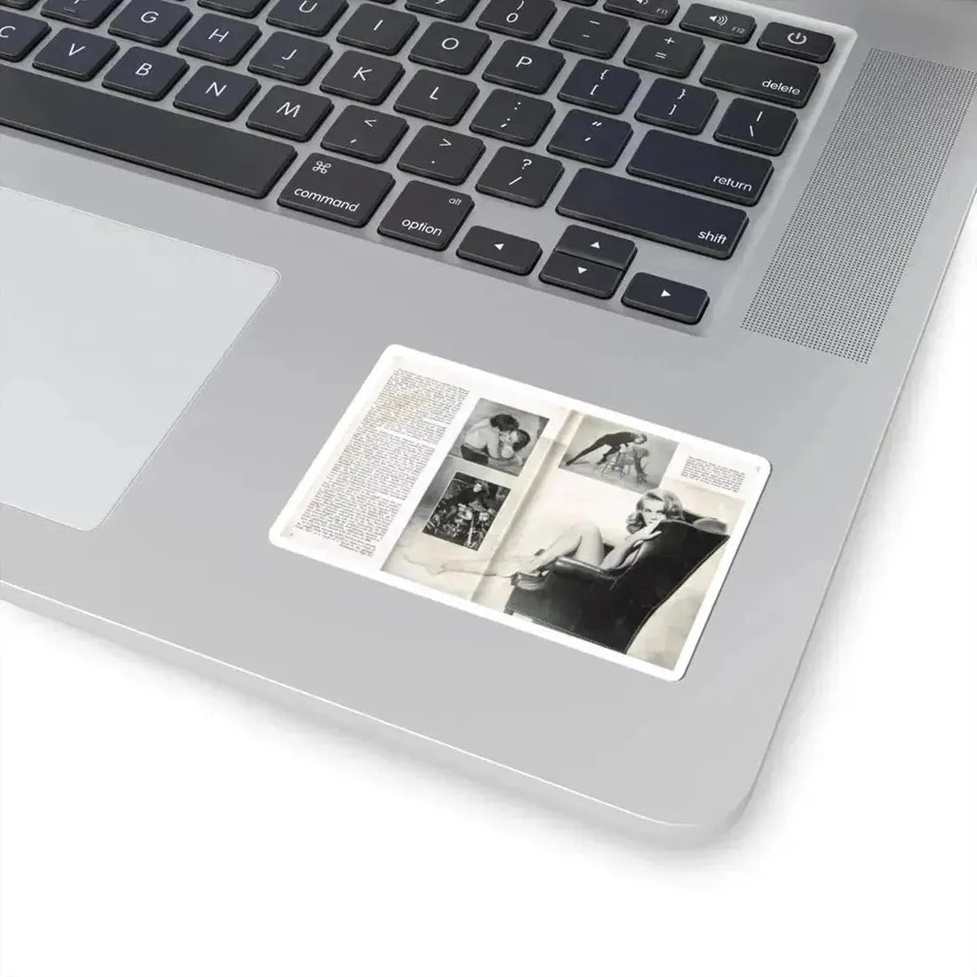 Ann-Margret #221 (Vintage Female Icon) STICKER Vinyl Kiss-Cut Decal - The Sticker Space