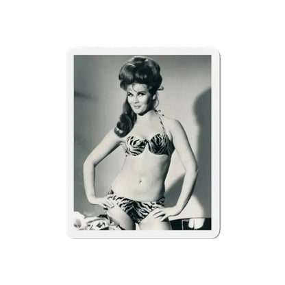 Ann-Margret #222 (Vintage Female Icon) Refrigerator Magnet - The Sticker Space