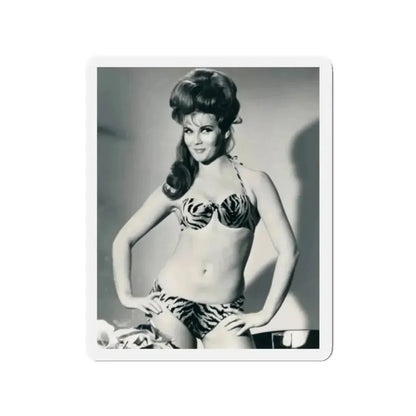 Ann-Margret #222 (Vintage Female Icon) Refrigerator Magnet - The Sticker Space