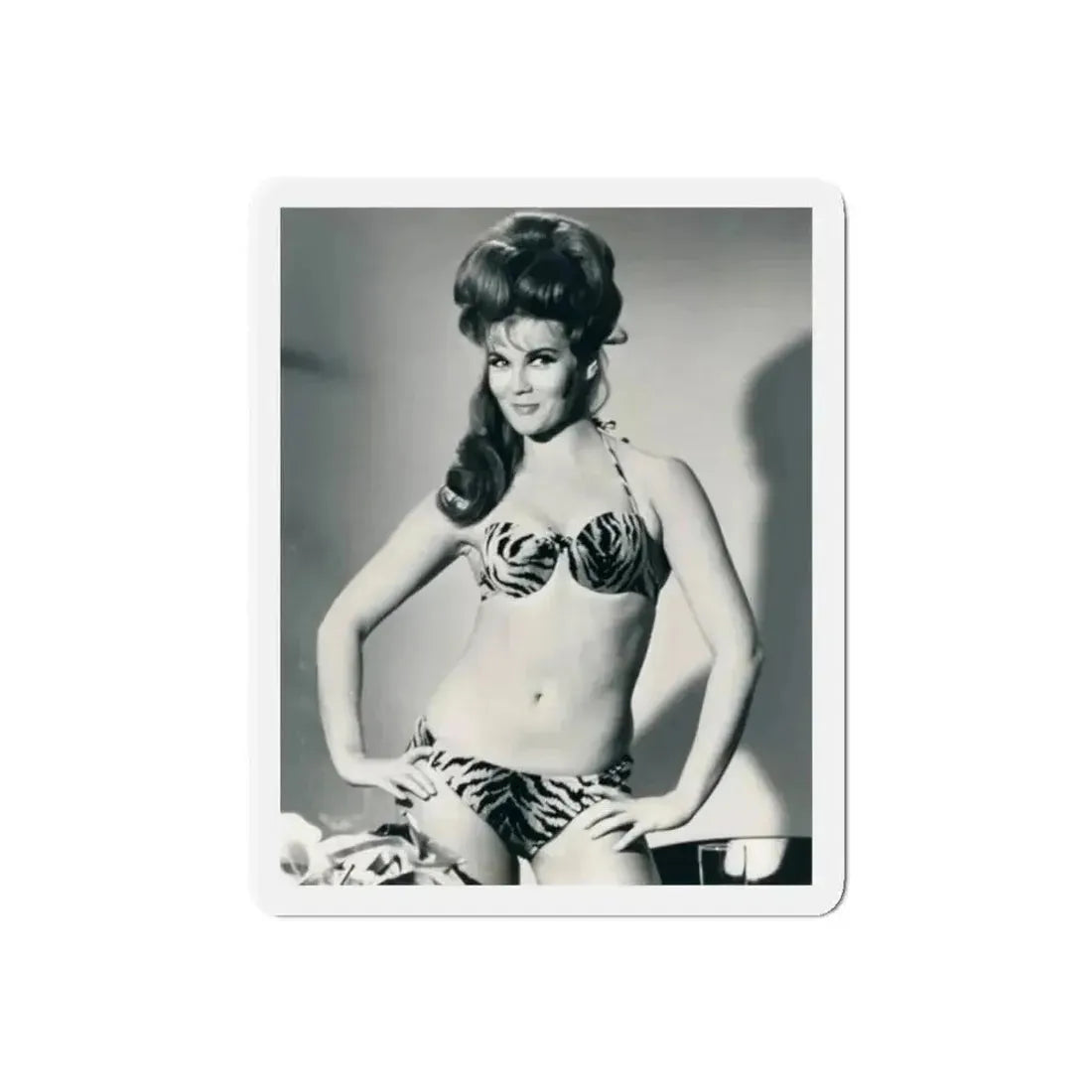 Ann-Margret #222 (Vintage Female Icon) Refrigerator Magnet - The Sticker Space