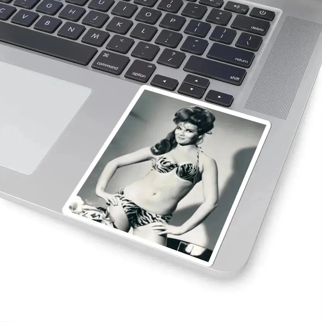 Ann-Margret #222 (Vintage Female Icon) STICKER Vinyl Kiss-Cut Decal - The Sticker Space