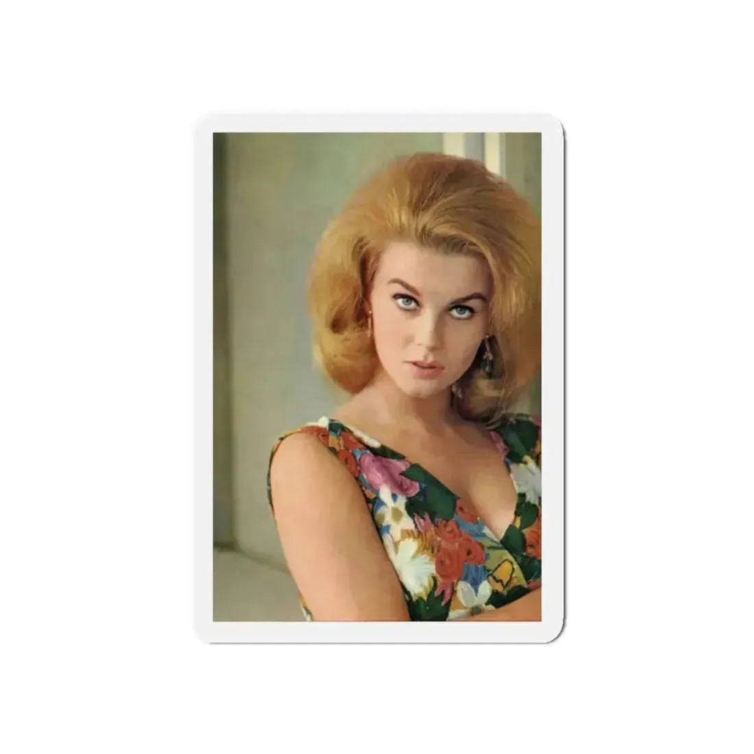 Ann-Margret #227 (Vintage Female Icon) Refrigerator Magnet - The Sticker Space