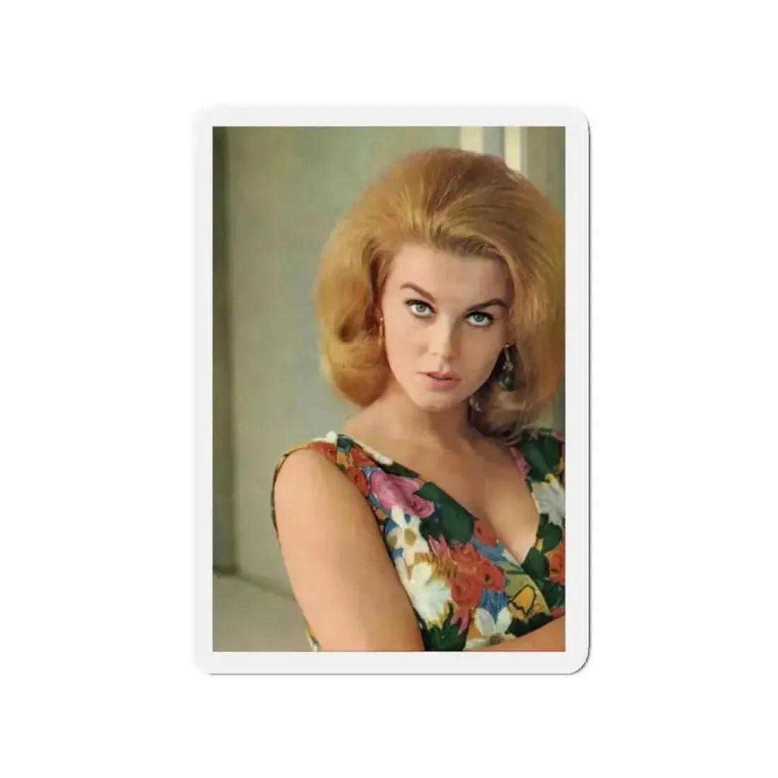 Ann-Margret #227 (Vintage Female Icon) Refrigerator Magnet - The Sticker Space