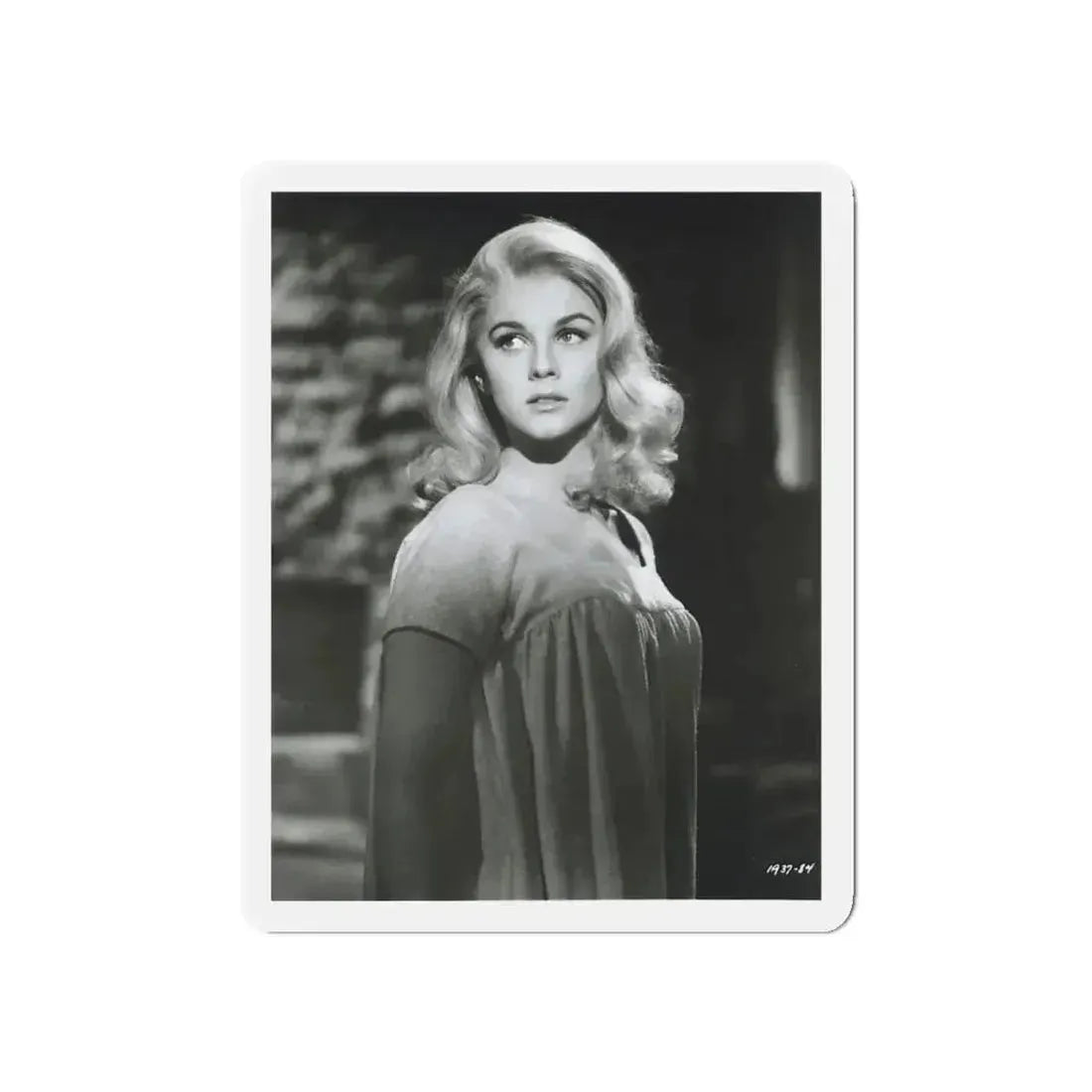 Ann-Margret #231 (Vintage Female Icon) Refrigerator Magnet - The Sticker Space