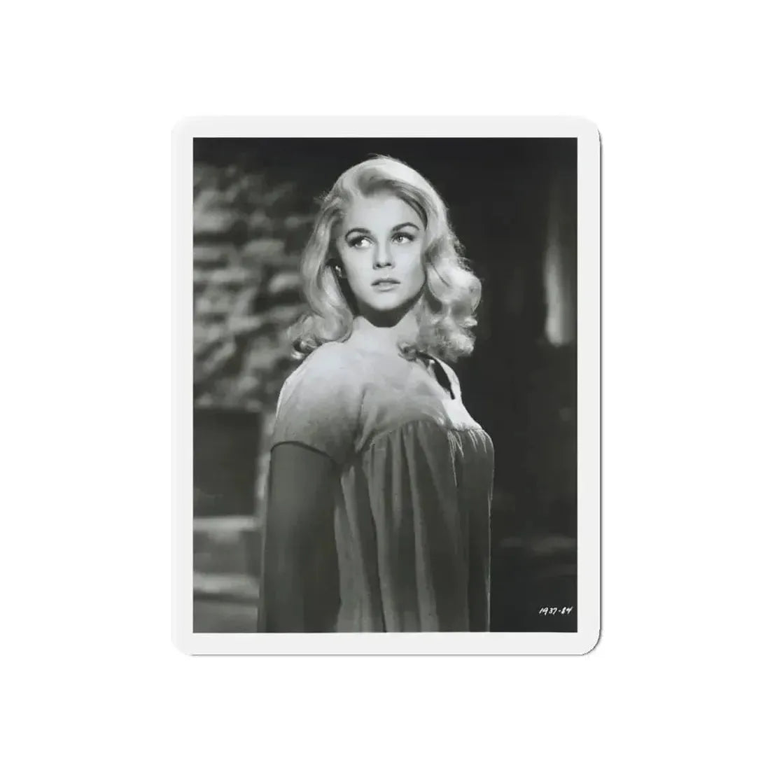 Ann-Margret #231 (Vintage Female Icon) Refrigerator Magnet - The Sticker Space