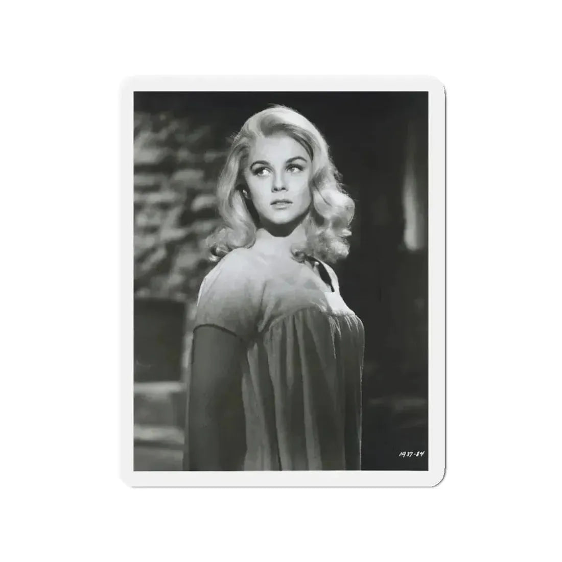 Ann-Margret #231 (Vintage Female Icon) Refrigerator Magnet - The Sticker Space