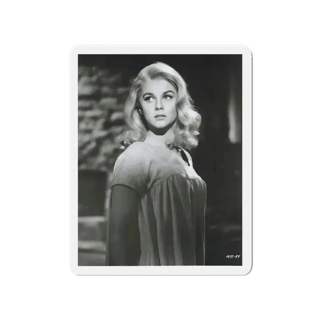Ann-Margret #231 (Vintage Female Icon) Refrigerator Magnet - The Sticker Space