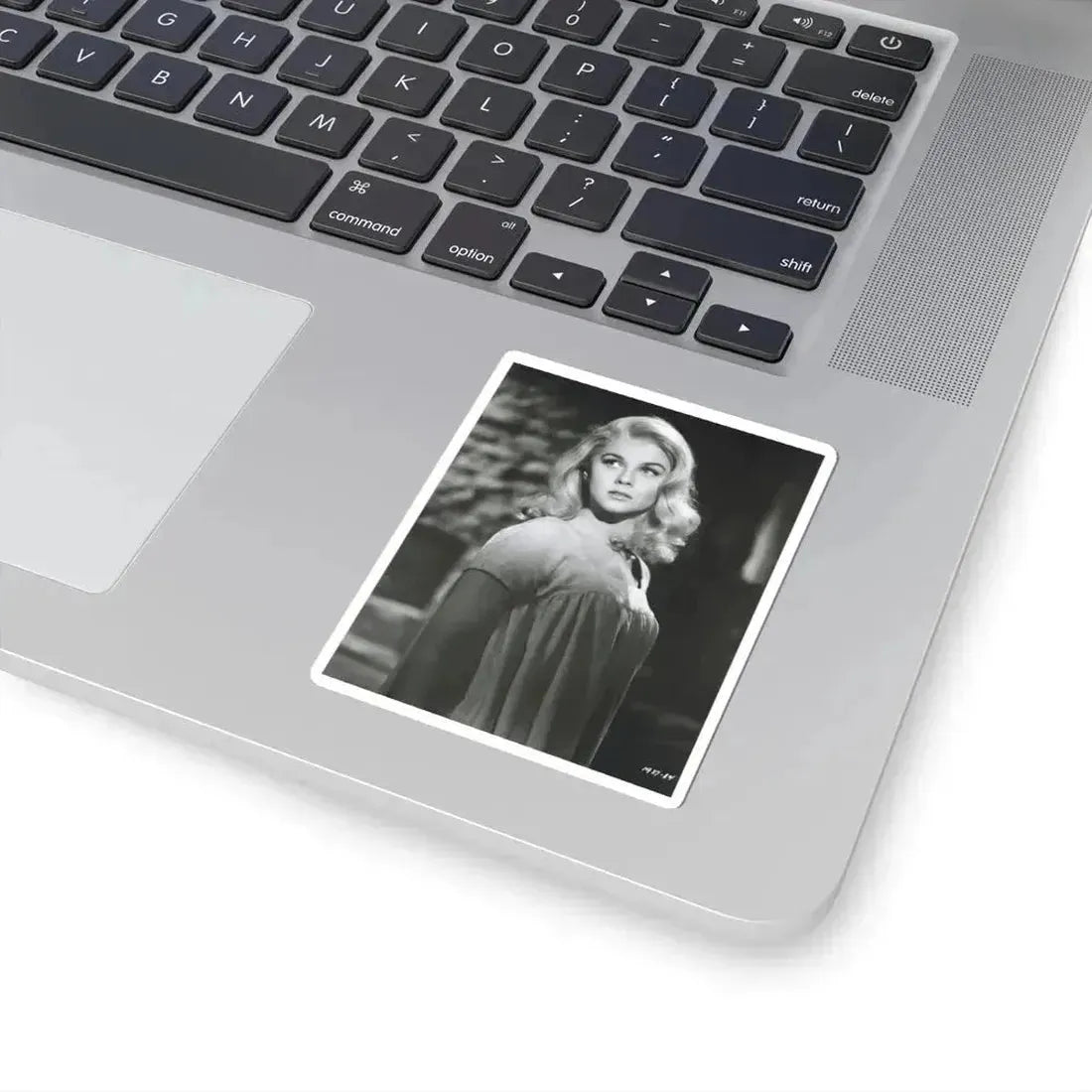 Ann-Margret #231 (Vintage Female Icon) STICKER Vinyl Kiss-Cut Decal - The Sticker Space