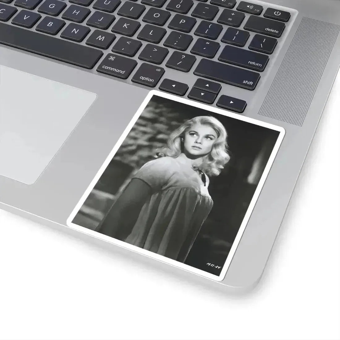 Ann-Margret #231 (Vintage Female Icon) STICKER Vinyl Kiss-Cut Decal - The Sticker Space