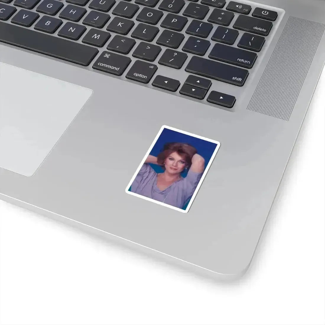 Ann-Margret #232 (Vintage Female Icon) STICKER Vinyl Kiss-Cut Decal - The Sticker Space