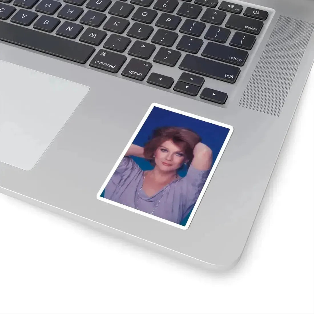 Ann-Margret #232 (Vintage Female Icon) STICKER Vinyl Kiss-Cut Decal - The Sticker Space