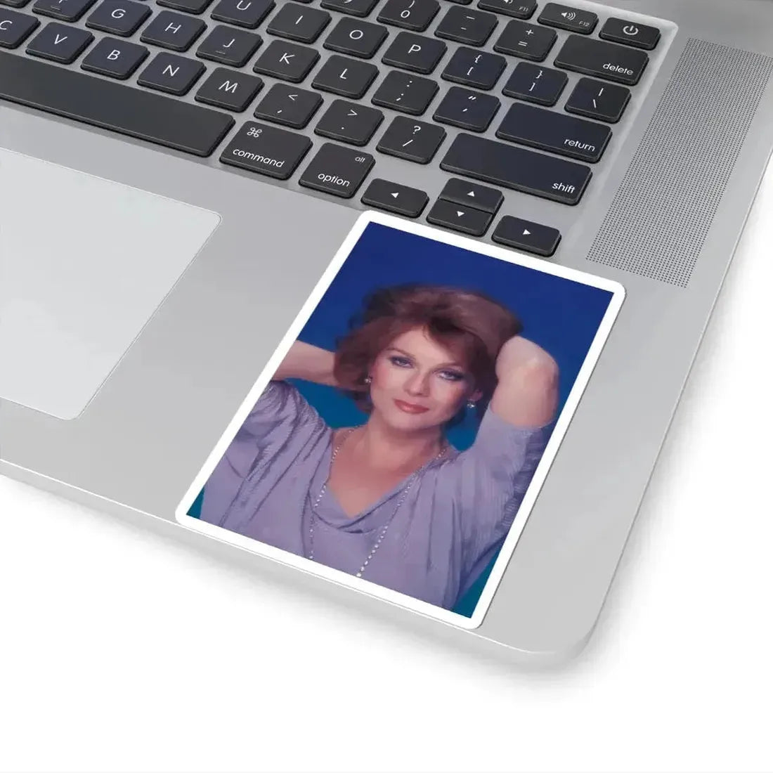 Ann-Margret #232 (Vintage Female Icon) STICKER Vinyl Kiss-Cut Decal - The Sticker Space