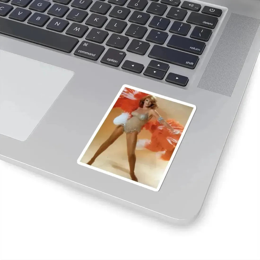 Ann-Margret #234 (Vintage Female Icon) STICKER Vinyl Kiss-Cut Decal - The Sticker Space