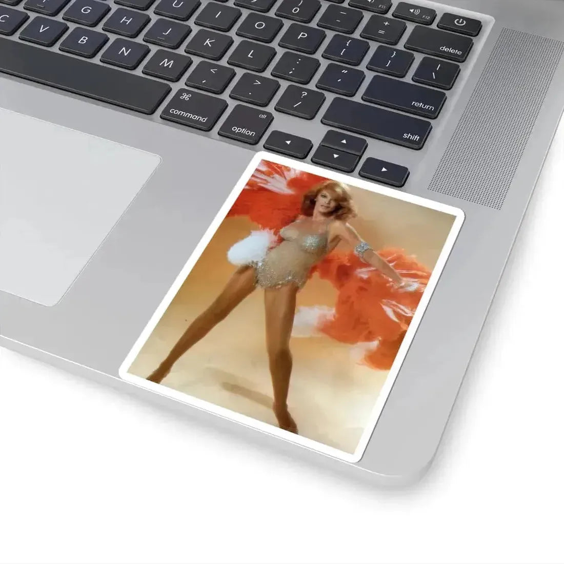 Ann-Margret #234 (Vintage Female Icon) STICKER Vinyl Kiss-Cut Decal - The Sticker Space