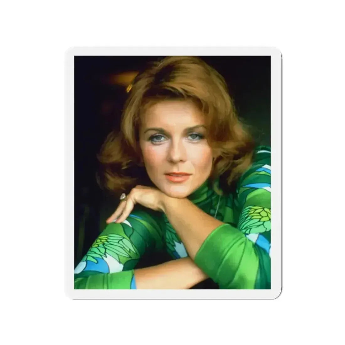 Ann-Margret #245 (Vintage Female Icon) Refrigerator Magnet - The Sticker Space