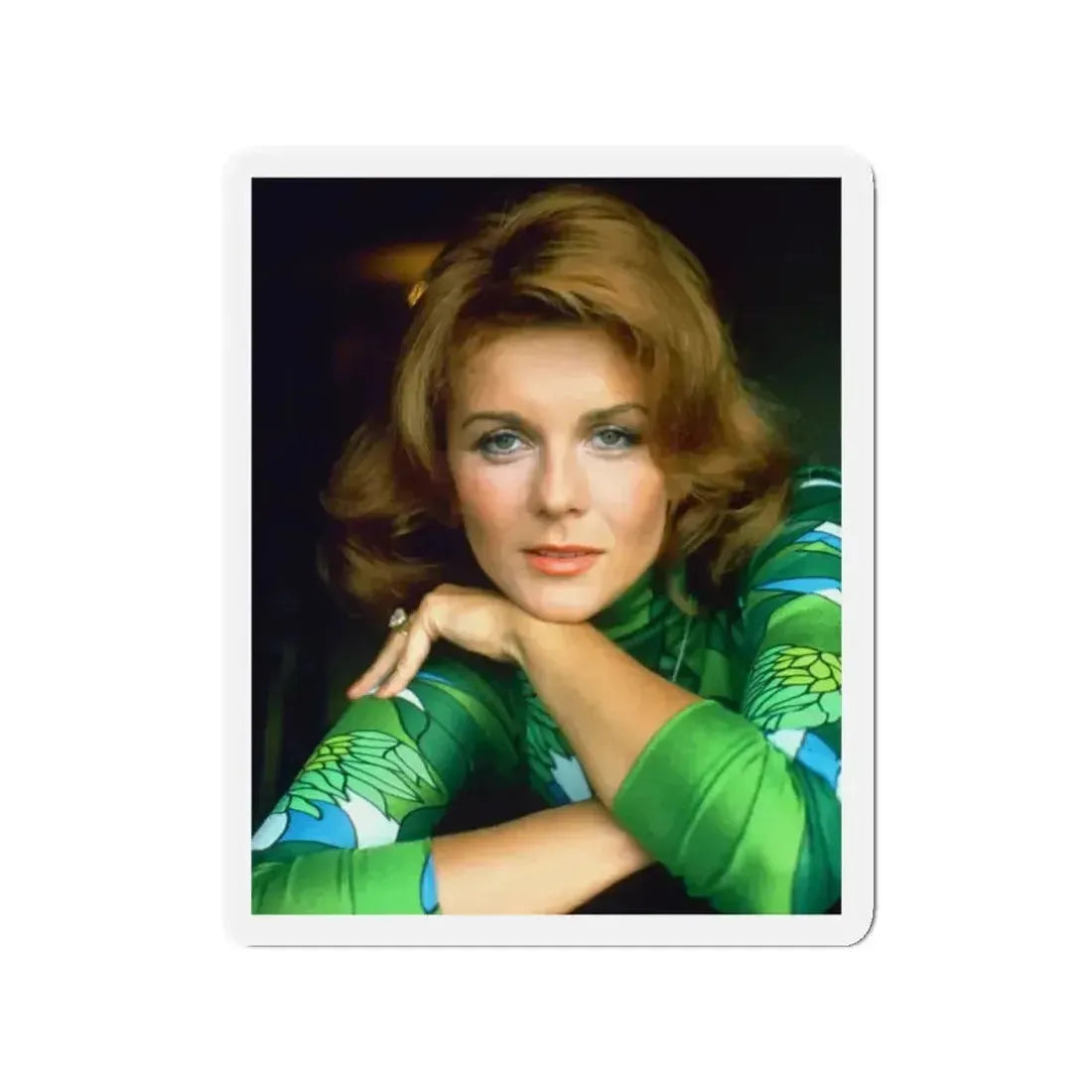 Ann-Margret #245 (Vintage Female Icon) Refrigerator Magnet - The Sticker Space