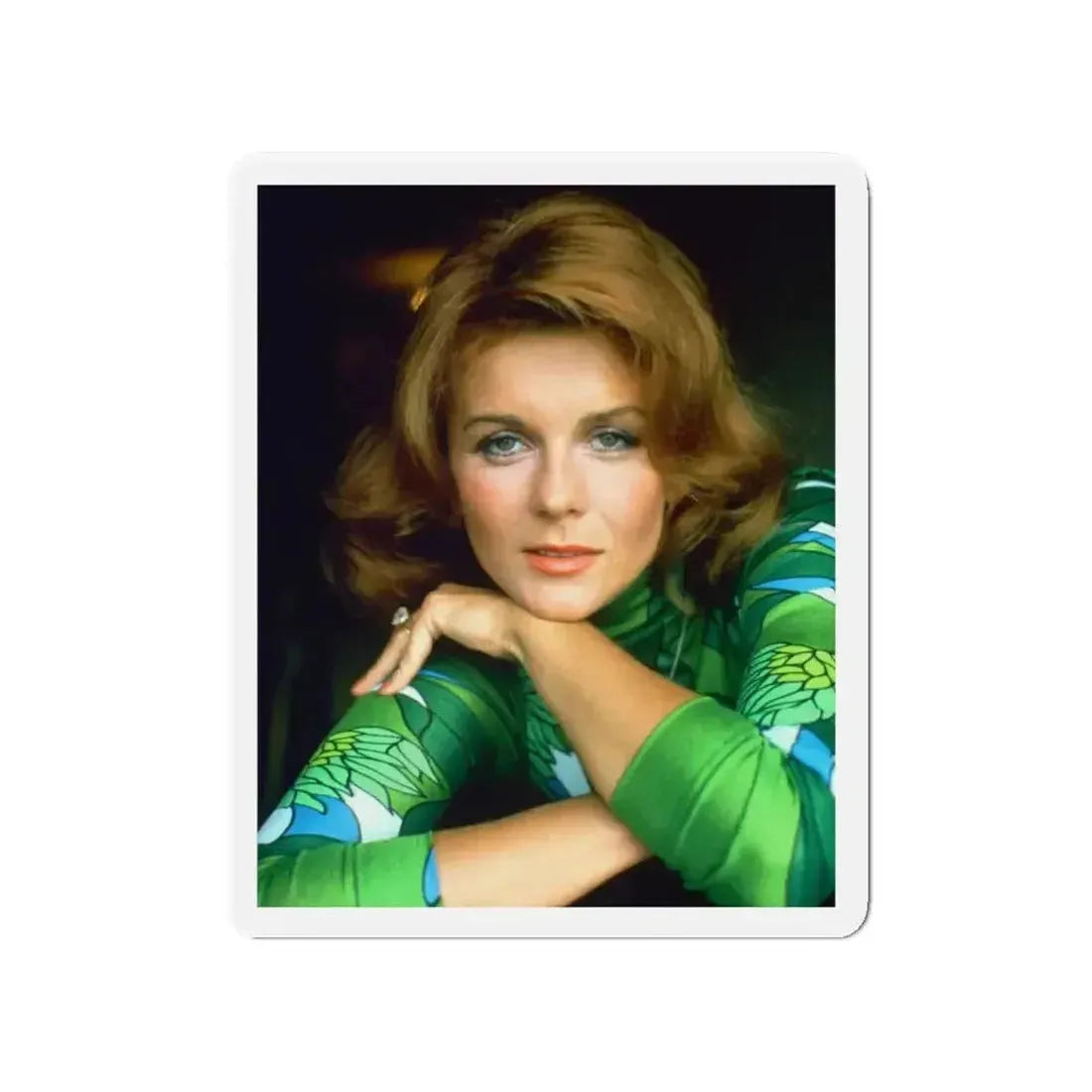 Ann-Margret #245 (Vintage Female Icon) Refrigerator Magnet - The Sticker Space
