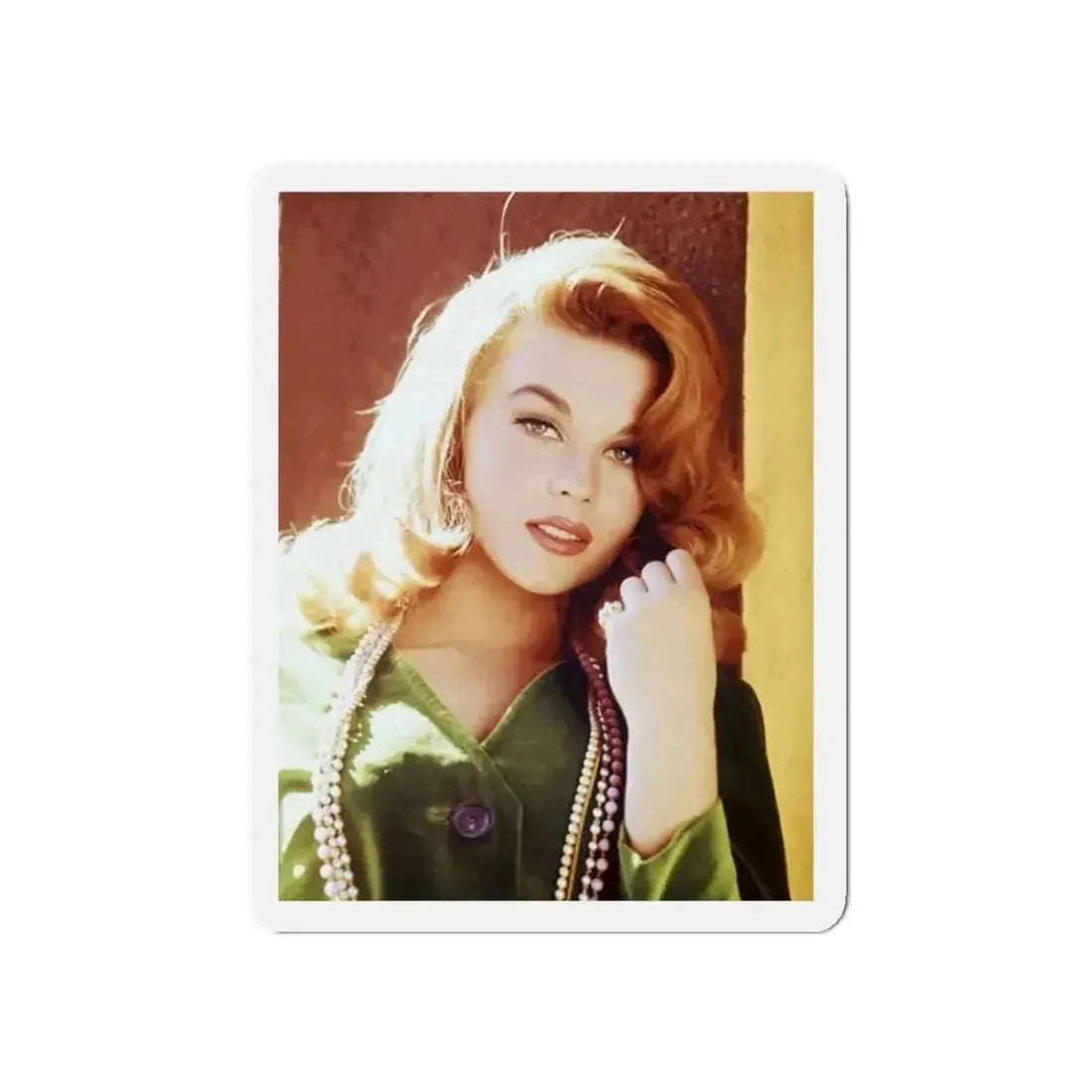 Ann-Margret #249 (Vintage Female Icon) Refrigerator Magnet - The Sticker Space