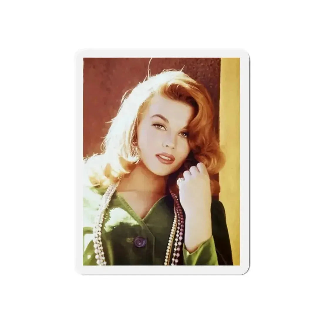 Ann-Margret #249 (Vintage Female Icon) Refrigerator Magnet - The Sticker Space