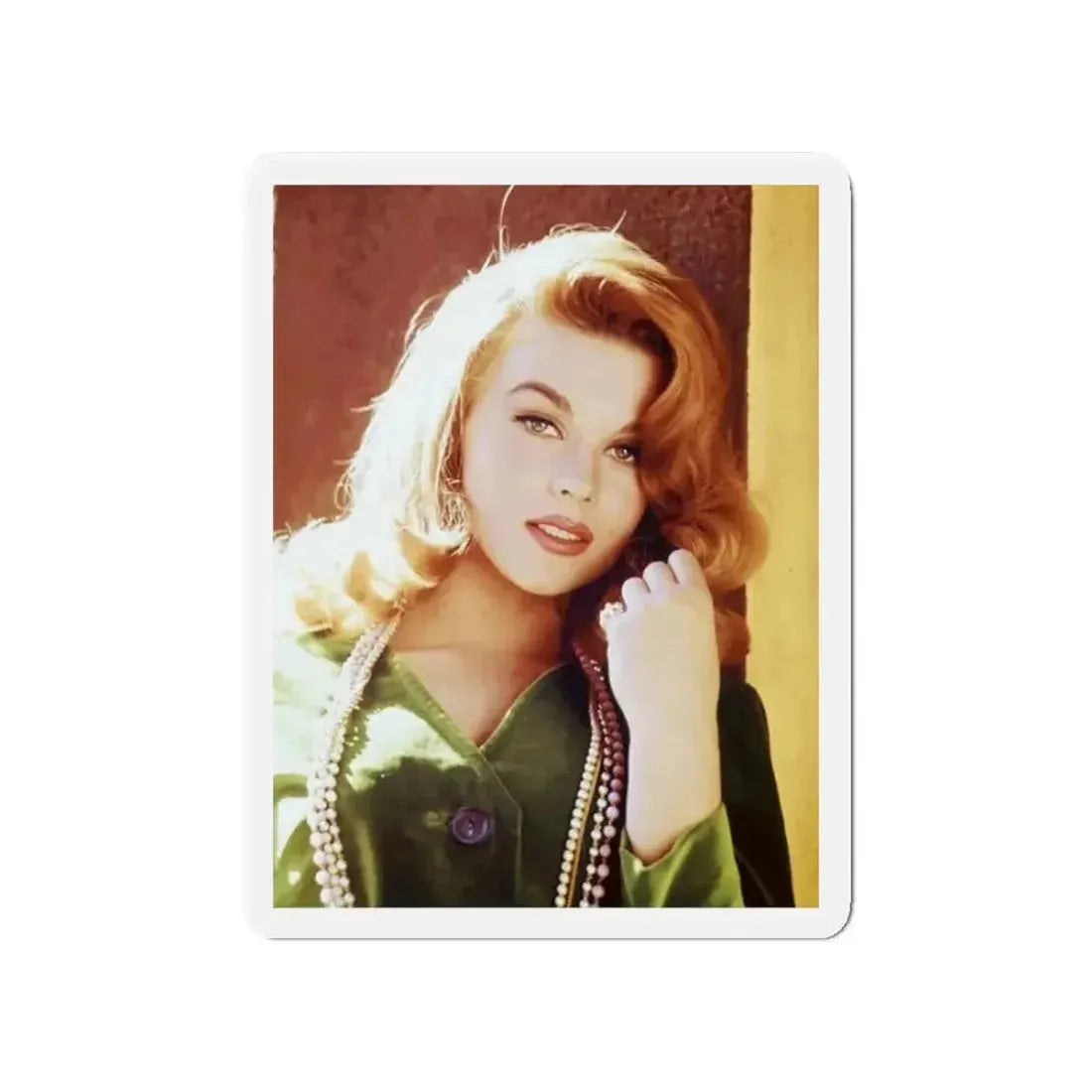 Ann-Margret #249 (Vintage Female Icon) Refrigerator Magnet - The Sticker Space
