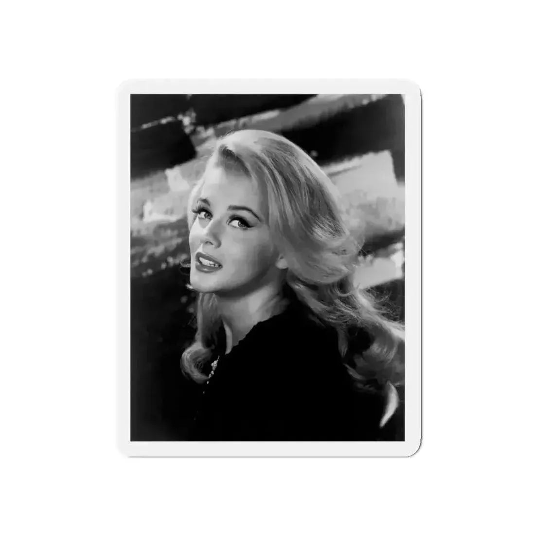 Ann-Margret #25 (Vintage Female Icon) Refrigerator Magnet - The Sticker Space