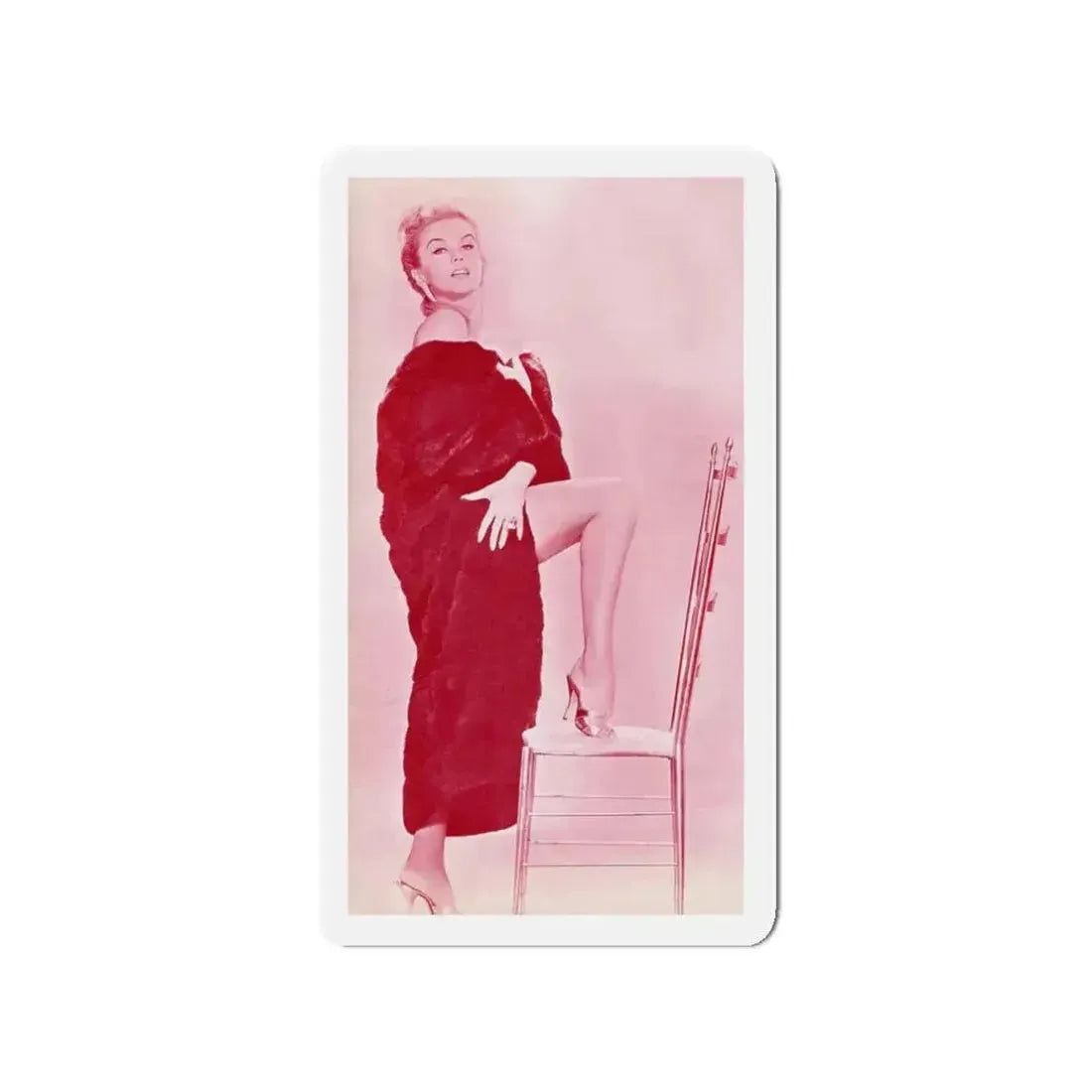 Ann-Margret #252 (Vintage Female Icon) Refrigerator Magnet - The Sticker Space