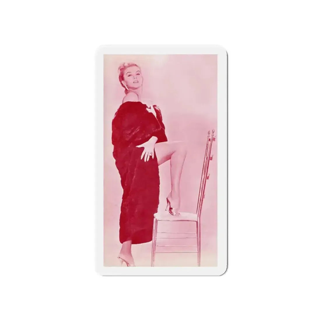 Ann-Margret #252 (Vintage Female Icon) Refrigerator Magnet - The Sticker Space