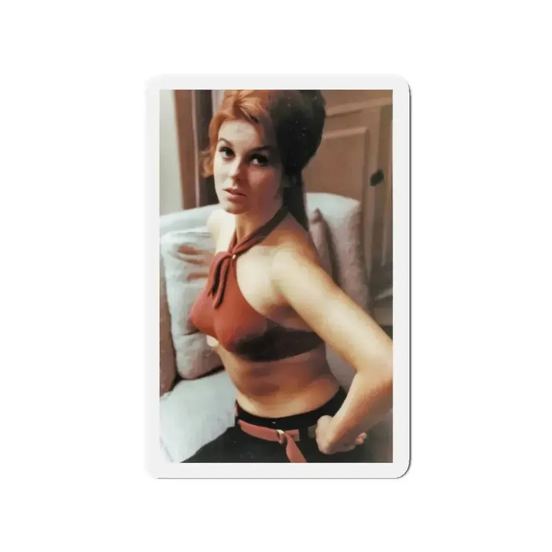 Ann-Margret #259 1 (Vintage Female Icon) Refrigerator Magnet 3 Inch Die-Cut - The Sticker Space