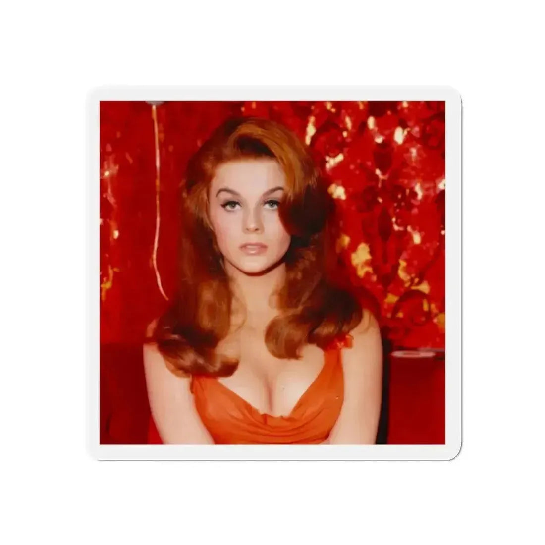 Ann-Margret #262 (Vintage Female Icon) Refrigerator Magnet - The Sticker Space