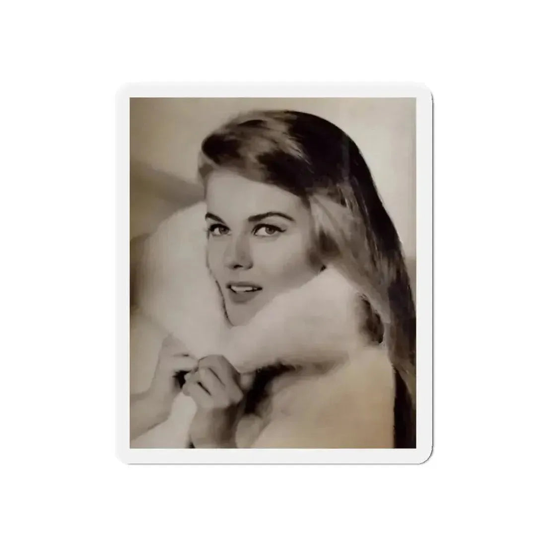 Ann-Margret #264 (Vintage Female Icon) Refrigerator Magnet - The Sticker Space