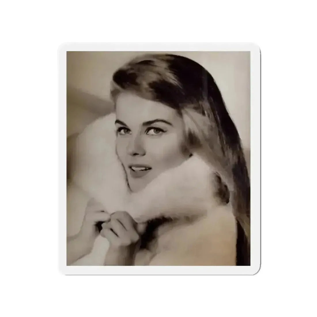 Ann-Margret #264 (Vintage Female Icon) Refrigerator Magnet - The Sticker Space