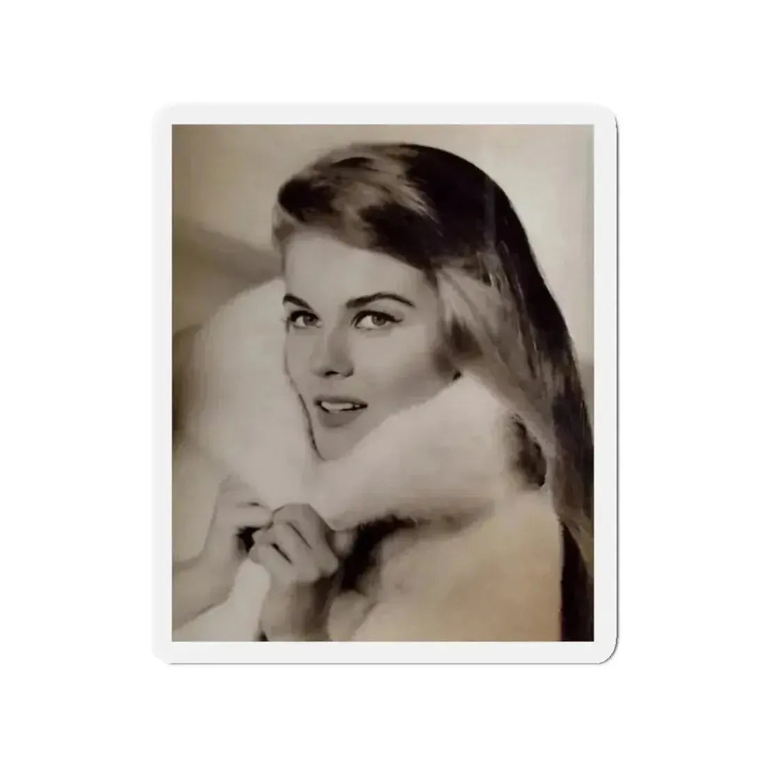 Ann-Margret #264 (Vintage Female Icon) Refrigerator Magnet - The Sticker Space