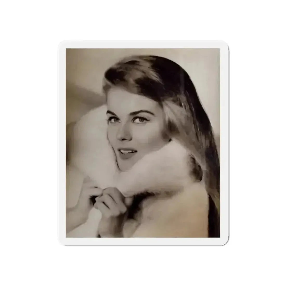 Ann-Margret #264 (Vintage Female Icon) Refrigerator Magnet - The Sticker Space