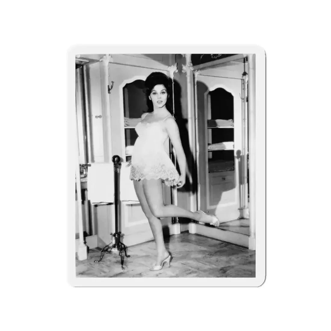 Ann-Margret #266 (Vintage Female Icon) Refrigerator Magnet - The Sticker Space