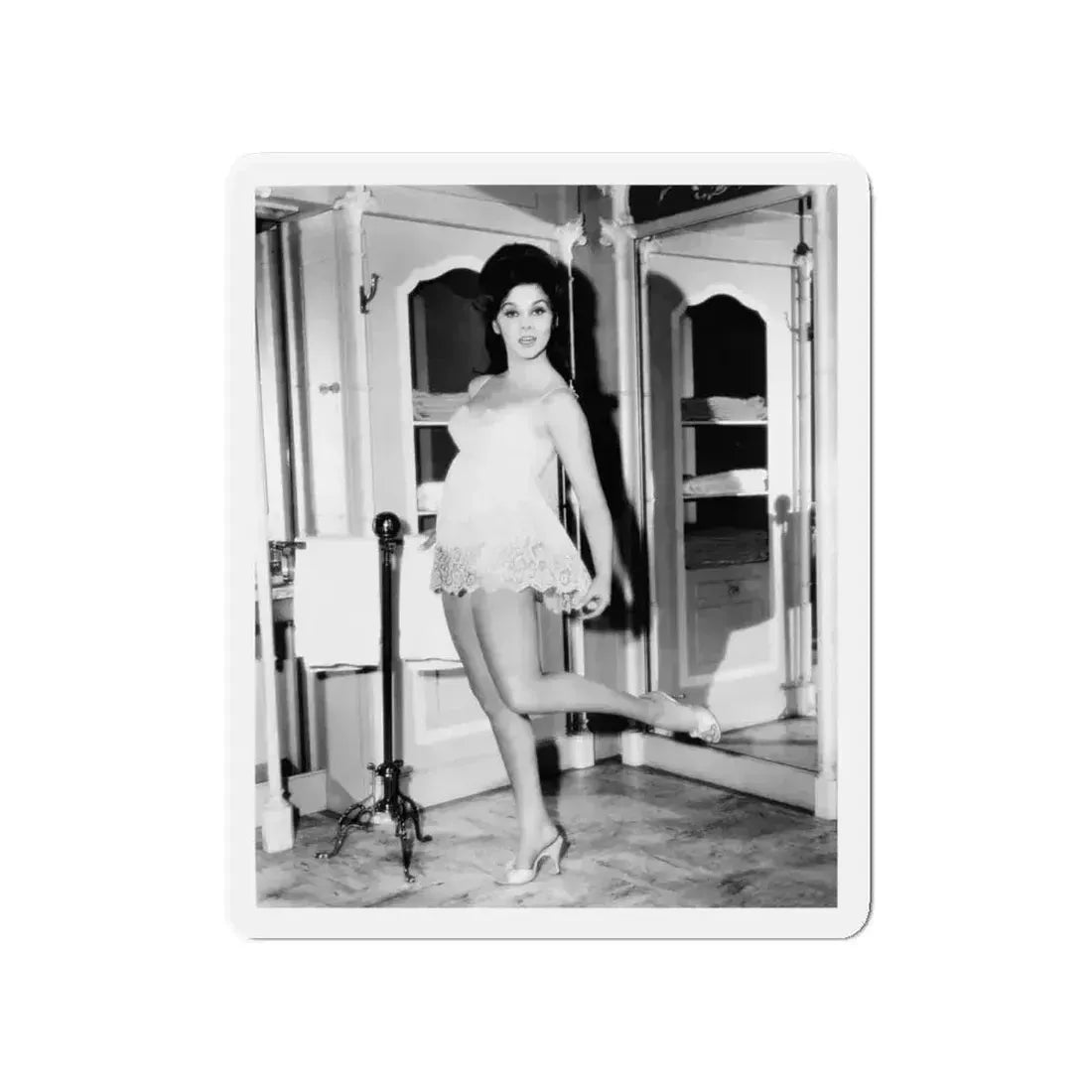 Ann-Margret #266 (Vintage Female Icon) Refrigerator Magnet - The Sticker Space