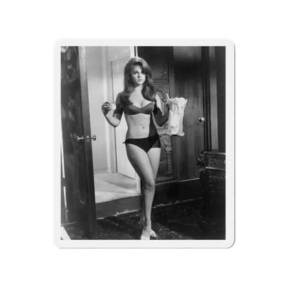 Ann-Margret #277 (Vintage Female Icon) Refrigerator Magnet 2 Inch Die-Cut - The Sticker Space