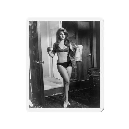 Ann-Margret #277 (Vintage Female Icon) Refrigerator Magnet 3 Inch Die-Cut - The Sticker Space